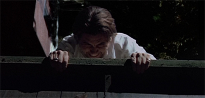 Half way between the gutter and the ground floor...