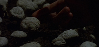 He always knew Gung was a fun-gi...