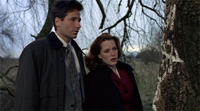 Barking up the wrong tree...