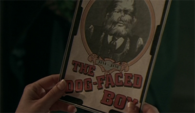 A dogged investigation...