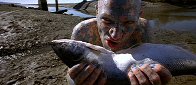 Something fishy is going on...