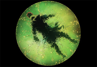 Taking a bath on this one...