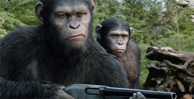 Playing him for a chimp, eh?