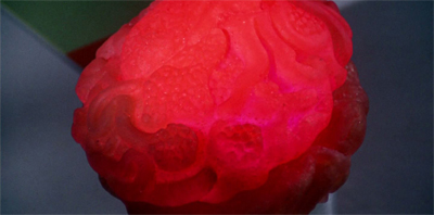 That fresh "out of the body" glow...