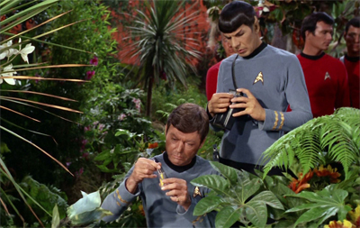 Inna gadda da vida...