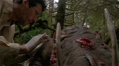 A pig-headed scientist...