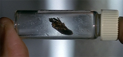 Has everybody caught the Ebola bug?