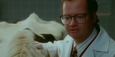 Heard it through the bovine...