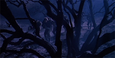 An alien environment...