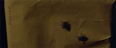 Some of the extras from The List make an appearance...