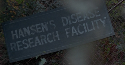 A different type of colony...