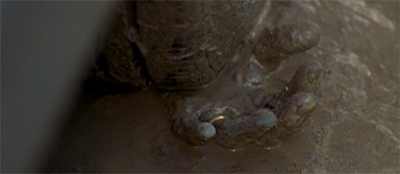 Reach out a touch faith...