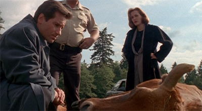 "So this is a cattle mutilation and it's NOT a conspiracy episode?"