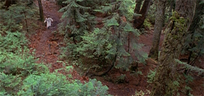 Going down to the woods today...