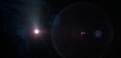 Lights in darkness...