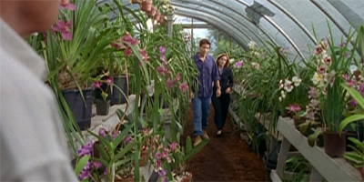 Garden-variety plotting...