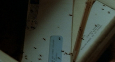Fun fact: these ants actually auditioned for The List, but Carter liked them so much he cast them in The Walk.
