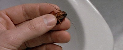 Our primary suspect...