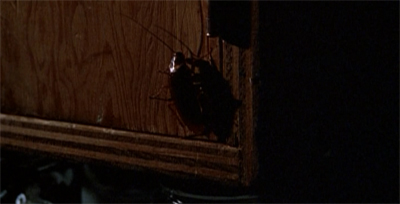 Opening the doors of perception...