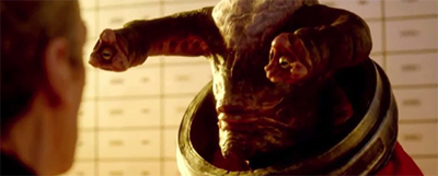 Seeing eye-to-eye...