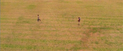 Never too far afield...