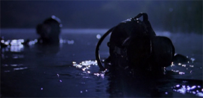 spaceaboveandbeyond-whomonitorsthebirds