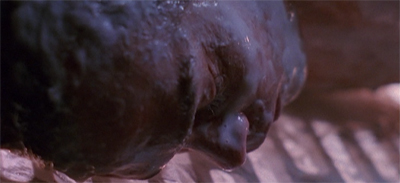 spaceaboveandbeyond-whomonitorsthebirds10