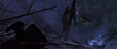 spaceaboveandbeyond-whomonitorsthebirds25