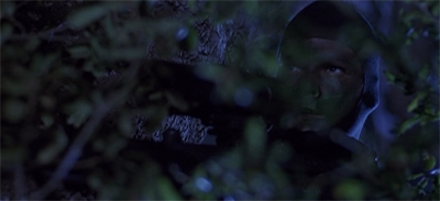 spaceaboveandbeyond-whomonitorsthebirds3