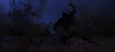 spaceaboveandbeyond-whomonitorsthebirds5