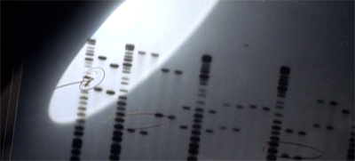 The show's DNA really shines through...