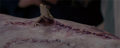 Talk about having the audience in stitches...