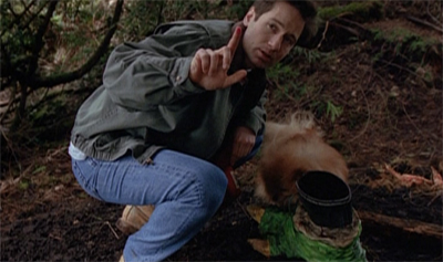 Queequeg goes sniffing around...