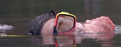 Holding on to your head under pressure...