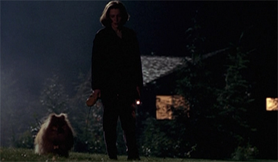 An FBI agent and her dog...