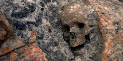 No bones about it...