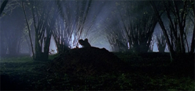 Keep digging for the truth...