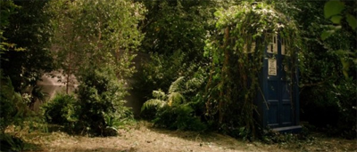 The trees have really grown on the TARDIS...