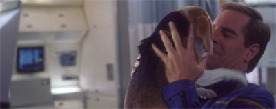 "... And your little dog, too!"