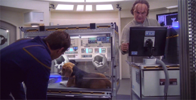 Phlox really gets the dog's body work...