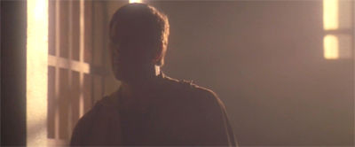 In the pale dusk light...