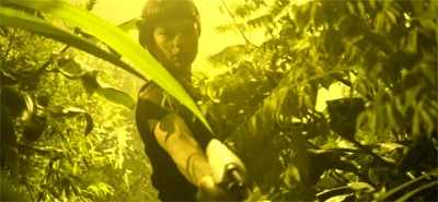 Back when T'Pol was a young green operative...