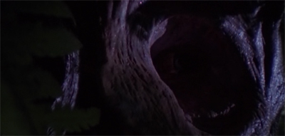 Seeing eye-to-eye...