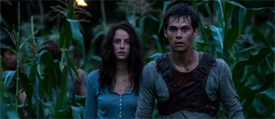 Children of the corn...