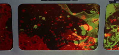 A good trip, or a bad trip?