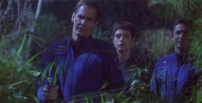 Welcome to the jungle...