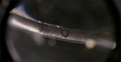 A hair's breadth away from insanity...