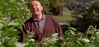 Hiddly ho, neighbourino!