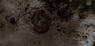 Ear to the ground...