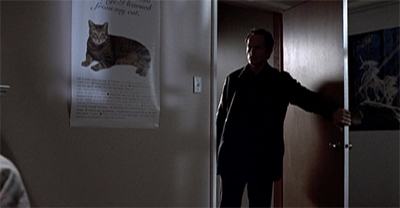 Cat posters. The root of all true evil in the world.